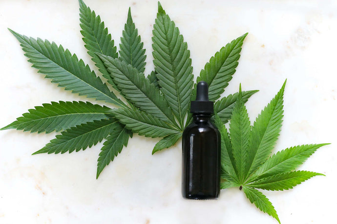 Delta 8 Tinctures: Here’s what you need to know