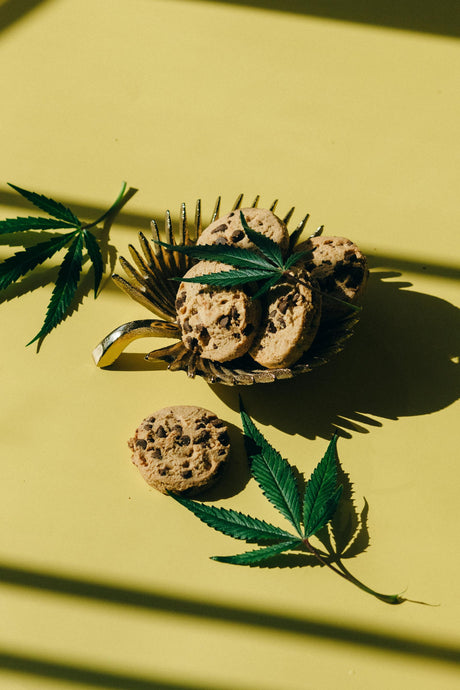 Discover the Different Types of Edibles: A Complete Guide to Choosing the Best for You!