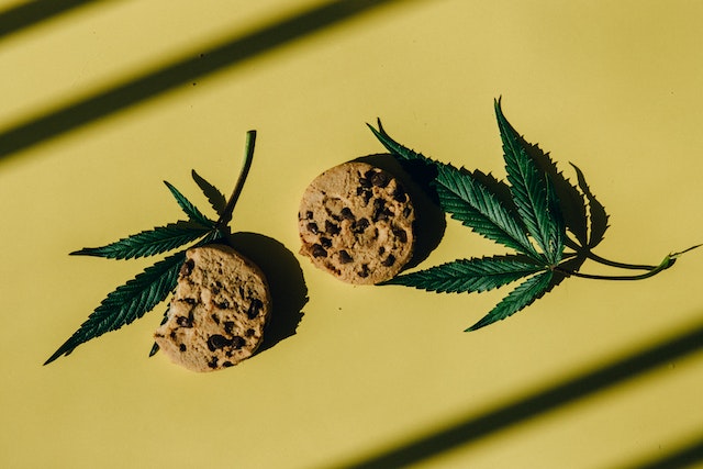 Delta 8 Edibles vs. Weed Edibles - Which One is Better?